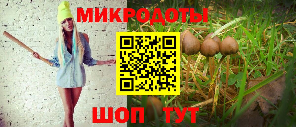 Псилоцибиновые грибы Psilocybine cubensis Алушта