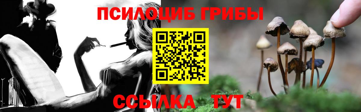 Алушта  Галлюциногенные грибы GOLDEN TEACHER  Вход с VPN 